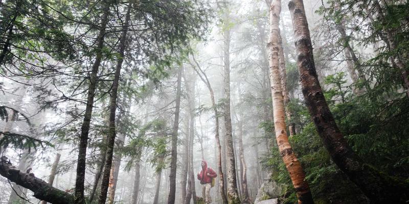 MRO工业品采购成本控制新思维：基于全生命周期总拥有成本（TCO）的深度分析 | 以大庆中顺1688建筑材料采购为例