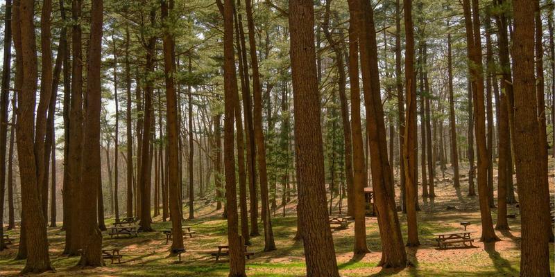 工业品采购1：如何高效筛选能源物资与机械零件？