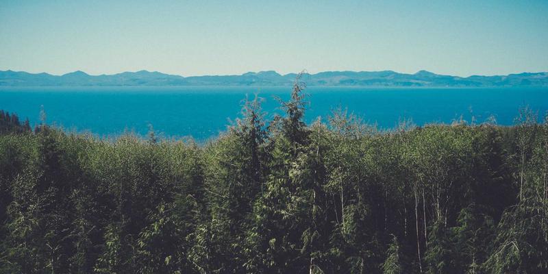 工业品采购中的替代品评估与验证流程：降本与保供的平衡术