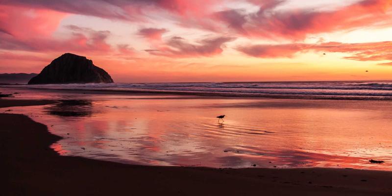 工业品采购全攻略：能源物资、建筑材料与原材料批发的核心策略