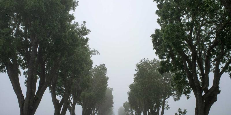 工业品采购实战指南：以机械零件为例解析大庆中顺1688平台高效采购策略