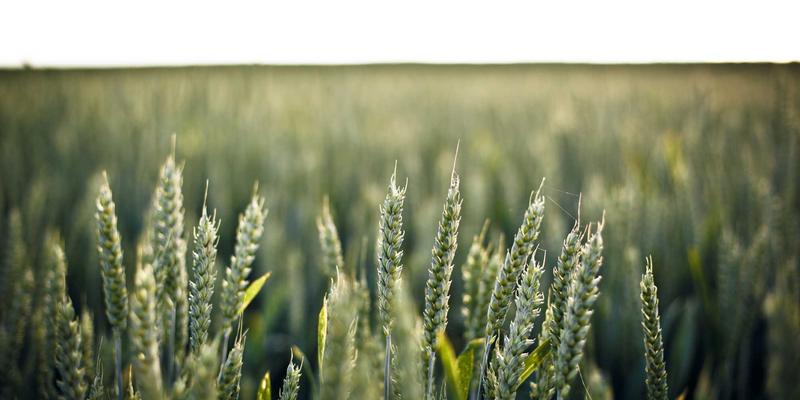 工业品采购实战指南：掌握原材料批发与能源物资采购的核心技巧