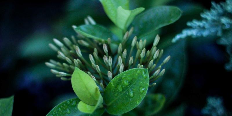 工业品采购实战解析:从机械零件到能源物资的数字化采购转型——以大庆中顺1688采购平台应用为例