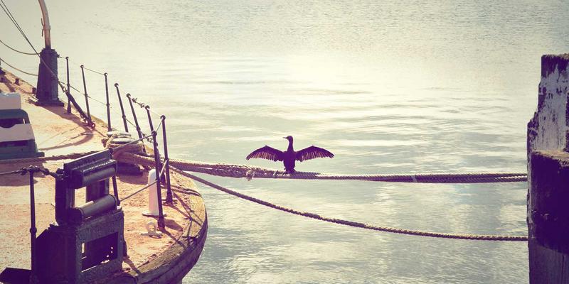 工业品采购成本模型构建：总拥有成本(TCO)在机械零件与工业设备采购中的深度解析与应用