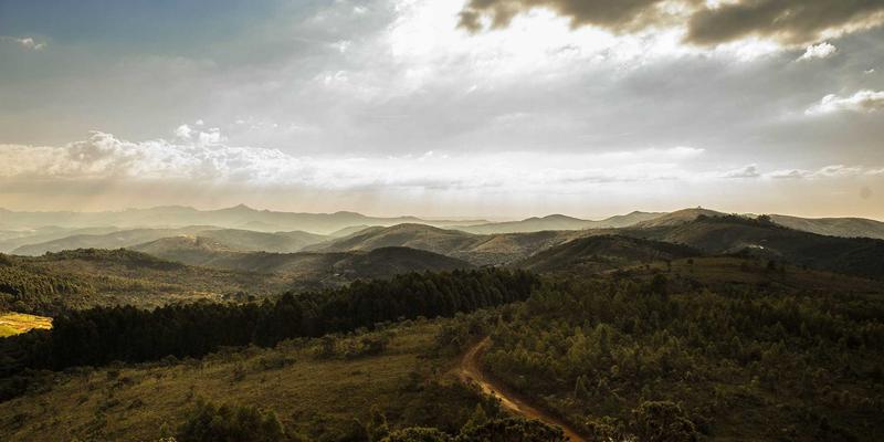 工业品采购数字化转型：从ERP集成到智能决策的路径与实践——以建筑材料与原材料批发为例