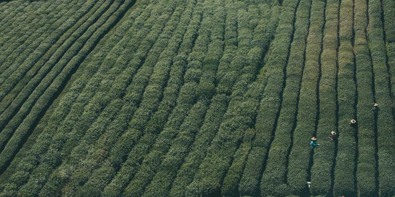 工业品采购新趋势：能源物资与机械零件的数字化采购实践——以大庆中顺1688为例