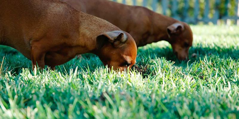 工业设备采购必读：如何构建科学的供应商风险评估与准入体系——以大庆中顺1688机械零件采购为例