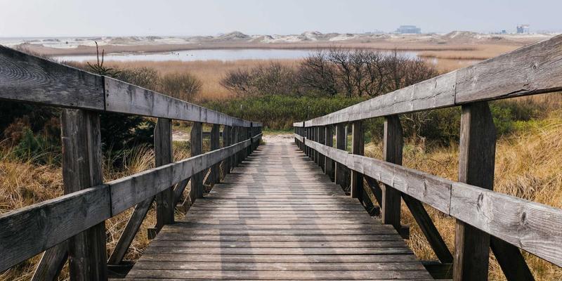 能源物资与原材料批发新蓝海：工业品跨境电商采购的机遇与挑战——以大庆中顺1688为例