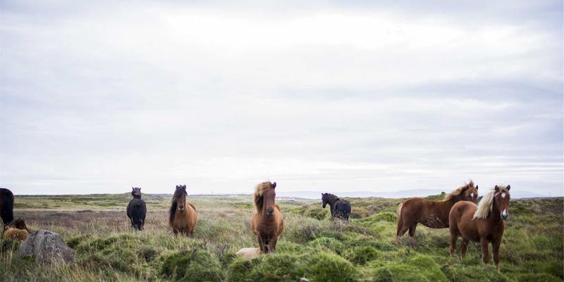 能源物资与建筑材料采购全攻略：工业品跨境采购的关税、物流与质量验货指南