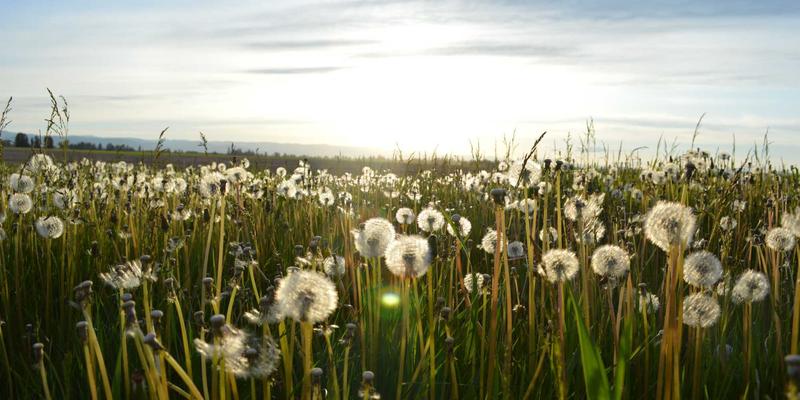 能源物资、建筑材料与机械零件非标定制件采购全流程：从技术澄清到验收的精准管控